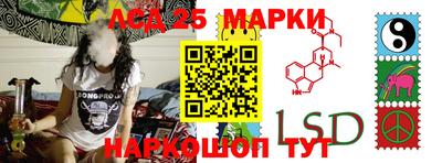 тгк Новодвинск
