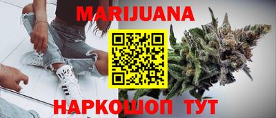 тгк Новодвинск