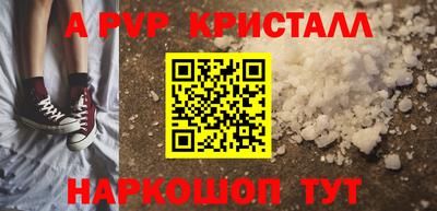 тгк Новодвинск